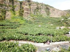 Terreno in vendita a Ponta do Sol Madeira Ponta do Sol