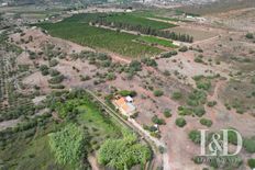 Terreno di 133765 mq - Silves, Distrito de Faro