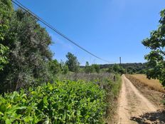 Terreno - Sant Miquel de Fluvià, Spagna