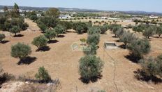 Terreno in vendita a Reguengos de Monsaraz Distrito de Évora Reguengos de Monsaraz