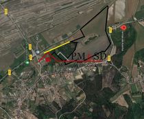 Terreno di 500 mq in vendita - Soure, Distrito de Coimbra