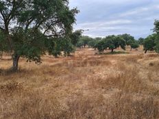 Terreno in vendita a Montemor-o-Novo Distrito de Évora Montemor-O-Novo