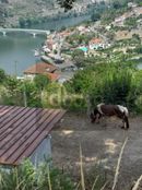 Rustico o Casale in vendita a Cinfães Distrito de Viseu Cinfães