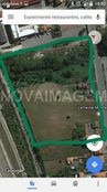 Terreno di 18000 mq in vendita - Aveiro, Portogallo