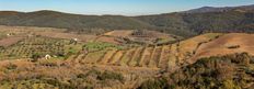 Lussuoso casale in vendita Strada Provinciale Aione, 1, Magliano in Toscana, Toscana