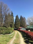 Casa di lusso in vendita a Varallo Pombia Piemonte Novara