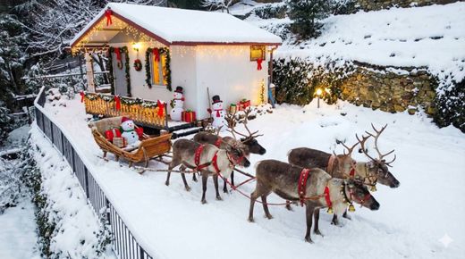 Grond in Triëst, Trieste