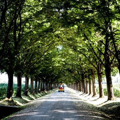 ‏בניין ב  Piacenza, Provincia di Piacenza