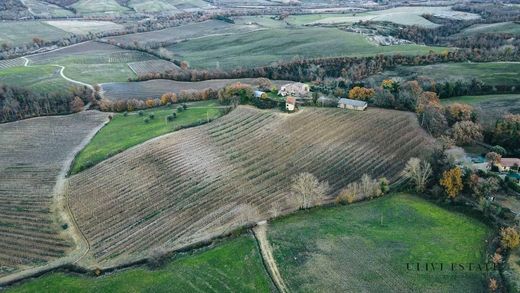 ‏חווה ב  Allerona, Provincia di Terni