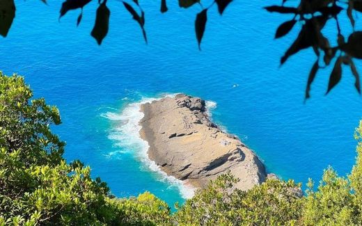 Luksusowy dom w Camogli, Provincia di Genova