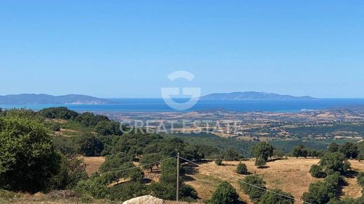 Apartment in Scansano, Provincia di Grosseto