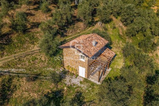 Поместье, Массаросе, Provincia di Lucca