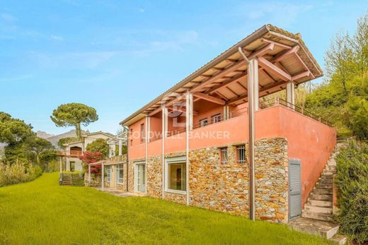 Villa - Pietrasanta, Provincia di Lucca