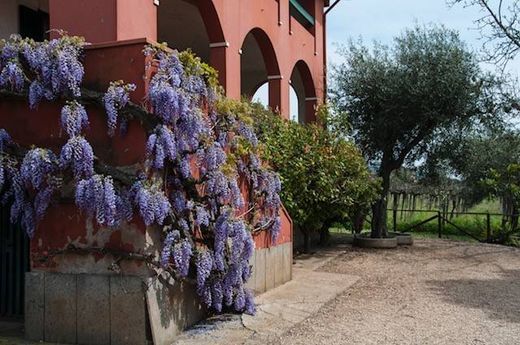 Ferme à Lanuvio, Rome