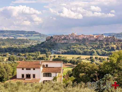 Country House in Orte, Provincia di Viterbo