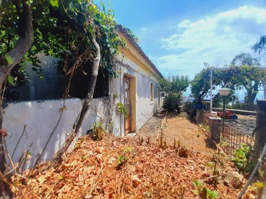 Fattoria a Piedimonte Etneo, Catania