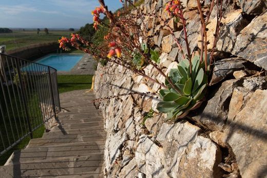 郊区住宅  比萨, 比萨省