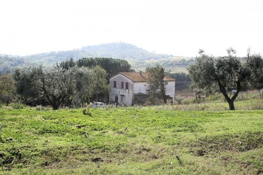 Magliano in Toscana, Provincia di Grossetoのカントリーハウス