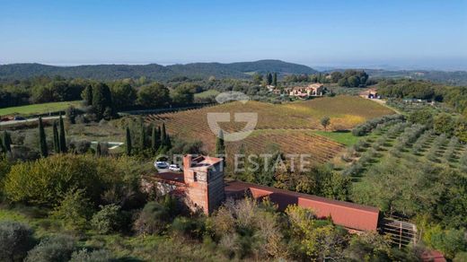 Casa de campo - Rapolano Terme, Provincia di Siena