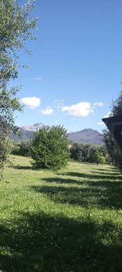 Grundstück in Pietrasanta, Provincia di Lucca