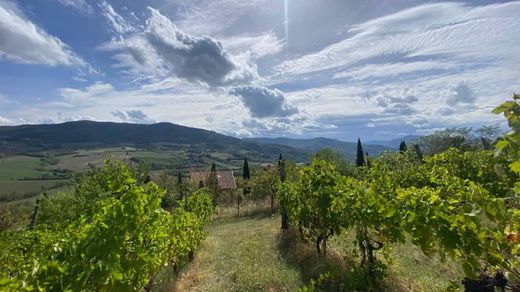 Travo, Provincia di Piacenzaのカントリーハウス