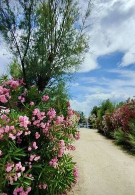 Hotel in Montenero di Bisaccia, Provincia di Campobasso