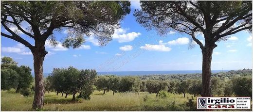 Farm in Carovigno, Provincia di Brindisi