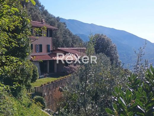Villa in Camaiore, Provincia di Lucca