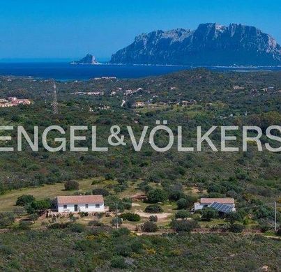 شاليه ﻓﻲ Murta Maria, Provincia di Sassari