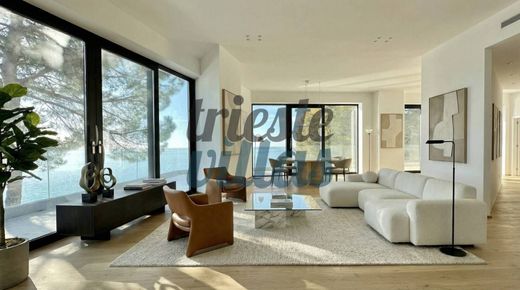 Dom szeregowy w Triest, Trieste