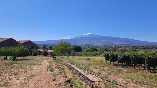 Farma w Castiglione di Sicilia, Catania