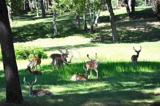 Farm in Gattico, Provincia di Novara