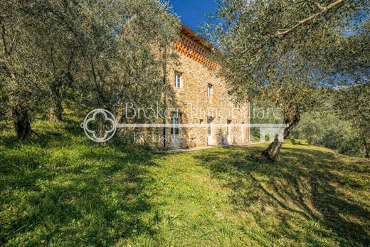 Casa de campo en Camaiore, Lucca