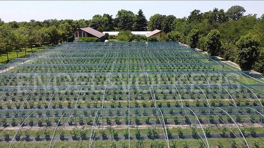 Propriété de campagne à Abbiategrasso, Milan