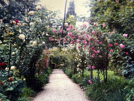 Villa Cesena, Forlì ilçesinde