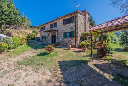 Gospodarstwo w Dicomano, Province of Florence