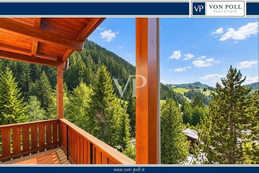 Apartment in Sëlva, Bolzano