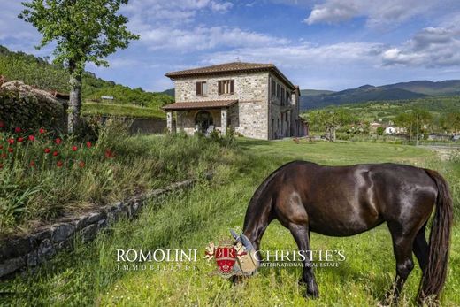 Gospodarstwo w Castel Focognano, Province of Arezzo