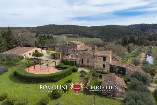 Castellina in Chianti, Provincia di Sienaのヴィラ