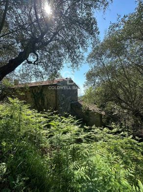 Casa de campo - Pietrasanta, Provincia di Lucca