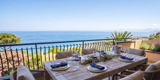 Penthouse Zambrone, Vibo-Valentia ilçesinde
