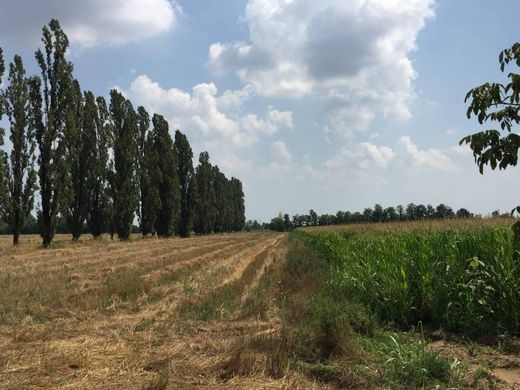 Farm in Inveruno, Milan