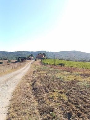Farm in Magliano in Toscana, Provincia di Grosseto