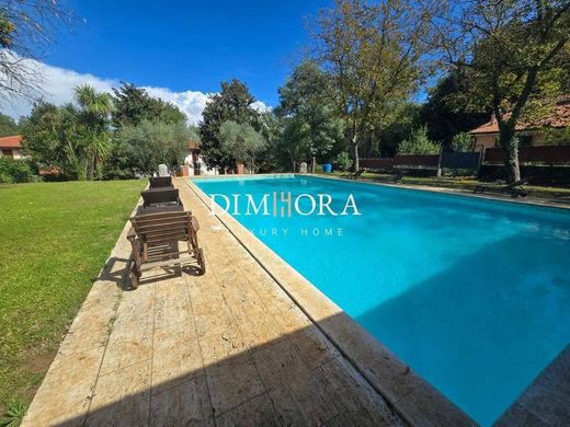 Villa in Patrica, Provincia di Frosinone