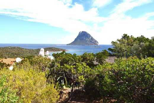 Villa en Loiri Porto San Paolo, Provincia di Sassari