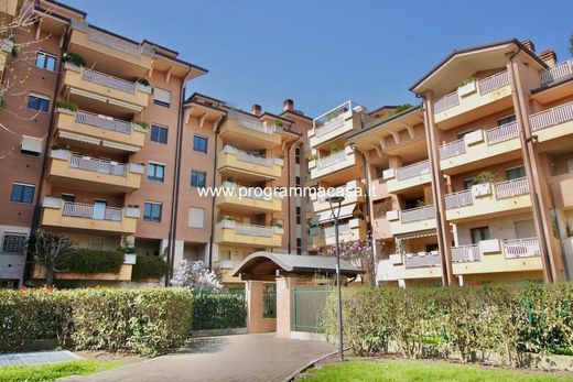 阁楼  Segrate, 米兰省