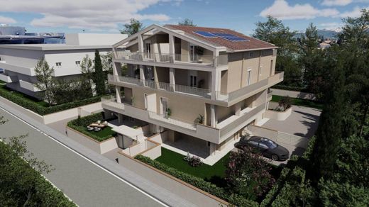 Daire Pisa, Pisa ilçesinde