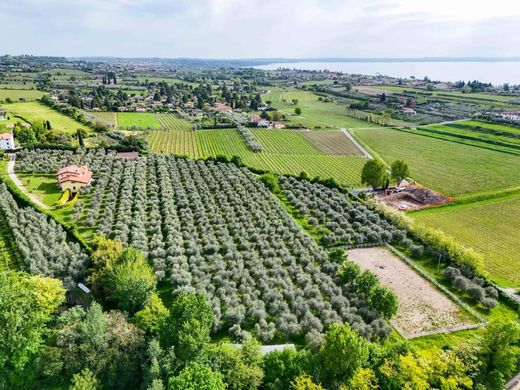 Bardolino, Provincia di Veronaのヴィラ