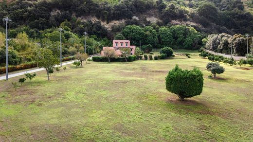 Terreno - Nápoles, Campania