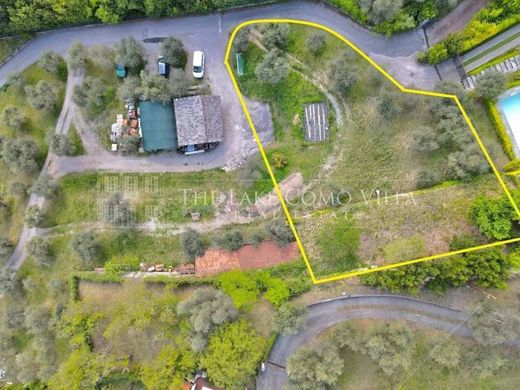 Teren w Tremezzina, Provincia di Como